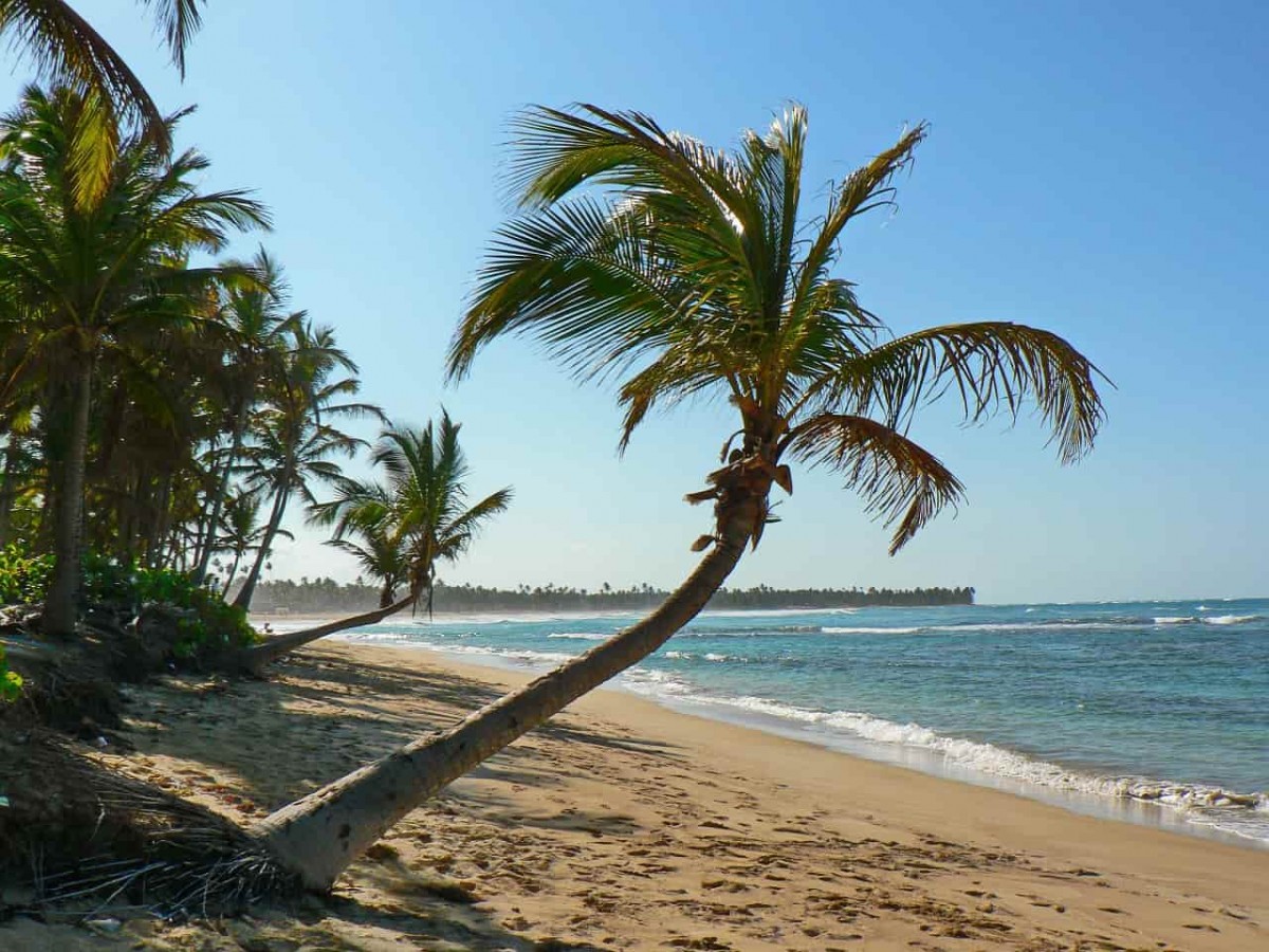 Bien préparer son voyage en république Dominicaine