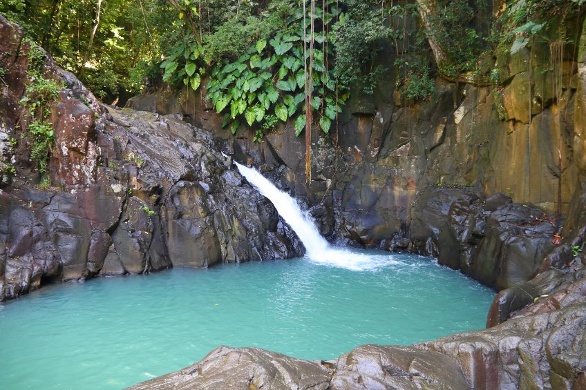 Pourquoi choisir la Guadeloupe comme prochaine destination de voyage ?